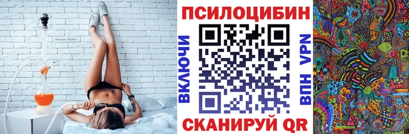 гидра   Зея  Псилоцибиновые грибы Psilocybine cubensis 